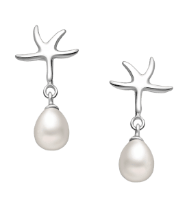 Real Starfish earrings